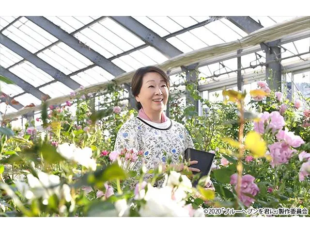 ブルーヘブンを君に