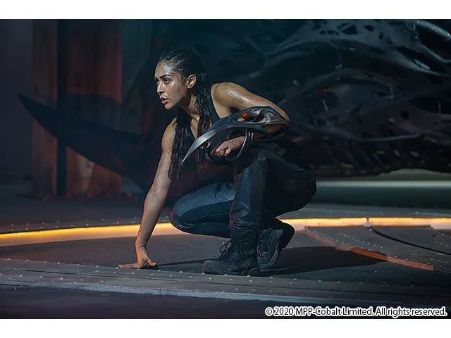 スカイライン-逆襲- 