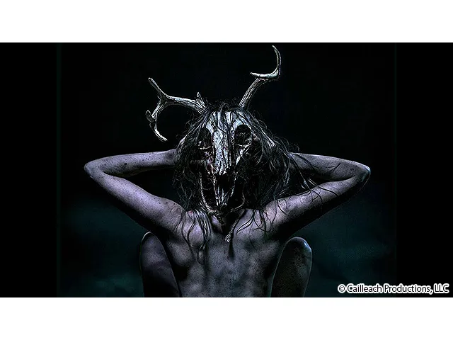 ウィッチサマー