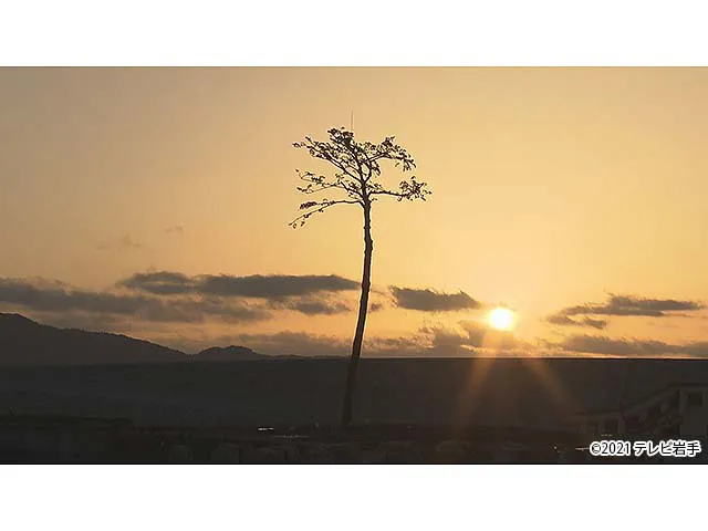 たゆたえども沈まず