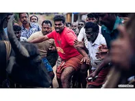 ジャッリカットゥ　牛の怒り