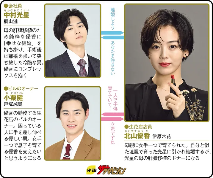 肝臓を奪われた妻の人物相関図