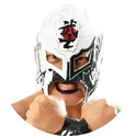 BUSHI