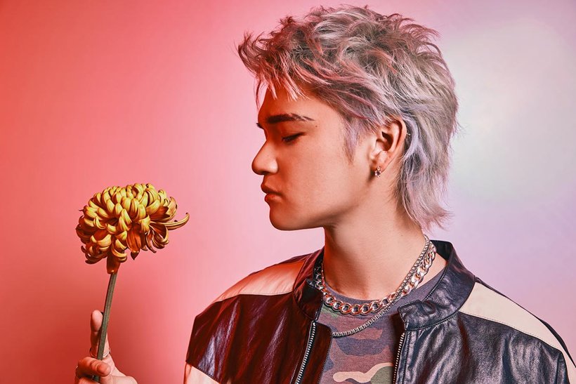 WOLF HOWL HARMONYの詳細画像(22/25)／推したい！フレッシュFACE | WEBザテレビジョン